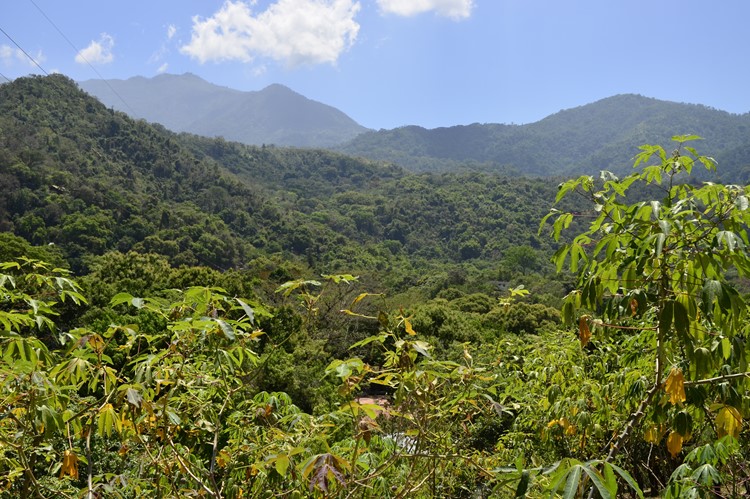 Minca - Colombia